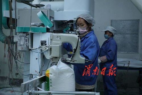 高效協(xié)同 質(zhì)量為先——論壓鑄制品行業(yè)如何保障生產(chǎn)供應(yīng)與市場(chǎng)穩(wěn)定